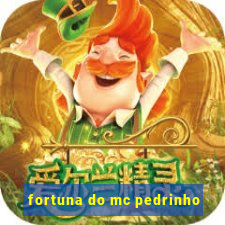 fortuna do mc pedrinho