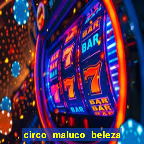 circo maluco beleza recife circo maluco