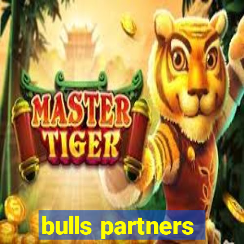 bulls partners