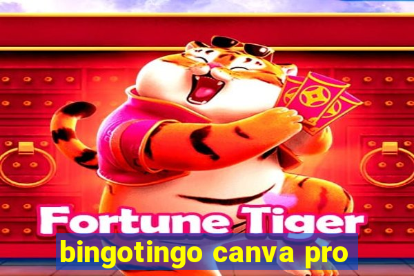 bingotingo canva pro