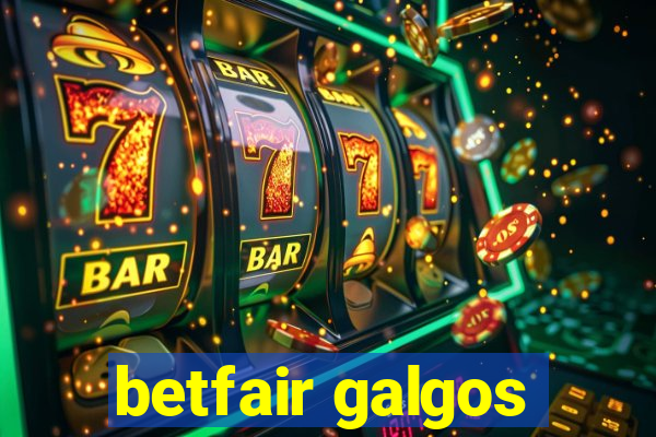 betfair galgos