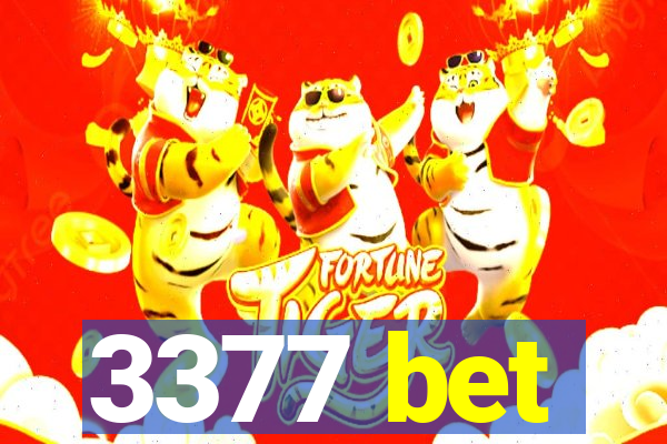 3377 bet