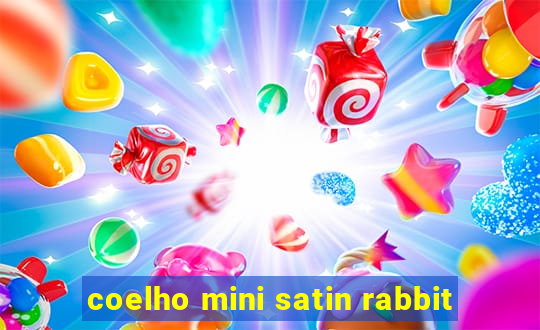 coelho mini satin rabbit