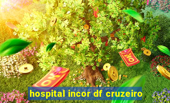 hospital incor df cruzeiro