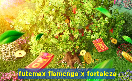 futemax flamengo x fortaleza