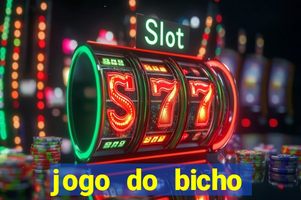 jogo do bicho tipos de apostas