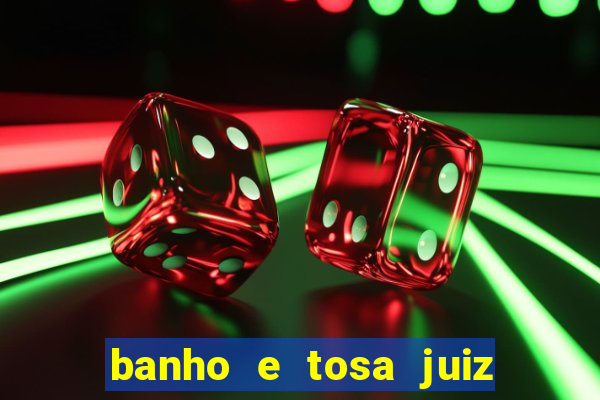 banho e tosa juiz de fora