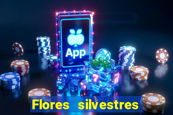 Flores silvestres brasileiras brasileiras flores silvestres nomes e imagens