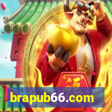 brapub66.com