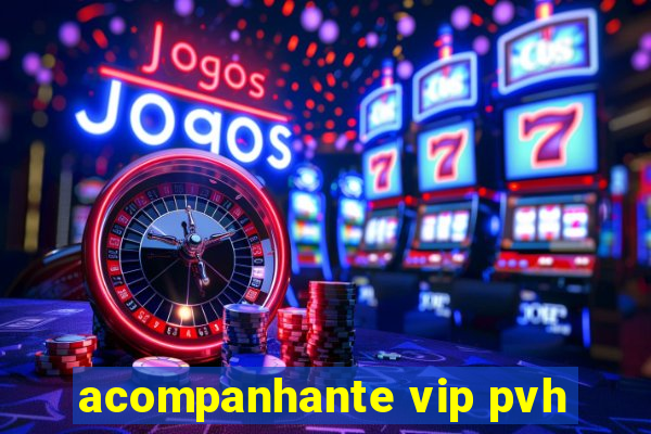 acompanhante vip pvh