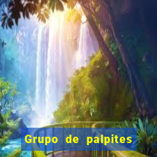 Grupo de palpites de futebol gratis