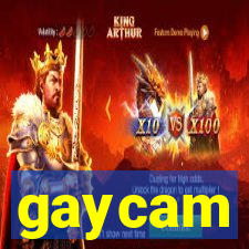 gaycam