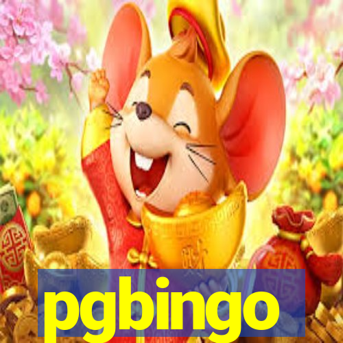 pgbingo