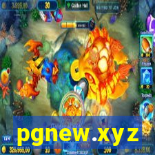 pgnew.xyz