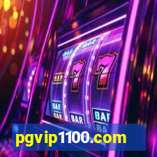 pgvip1100.com