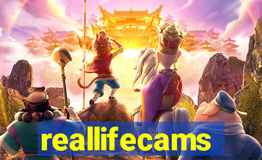 reallifecams