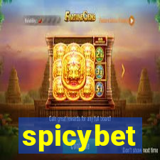 spicybet-3.com